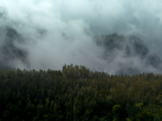 Yercaud